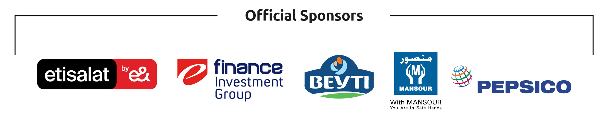 Sponsors & Partners (Wide 2)